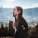 Steve Aoki