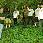 Fortunate Youth