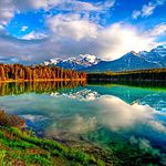 Nature Sounds Nature Music