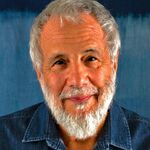 Cat Stevens