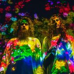 Hippie Sabotage