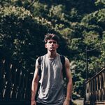 Petit Biscuit