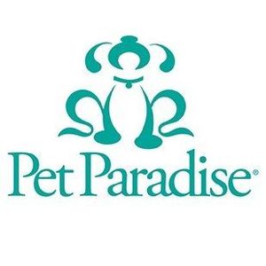 Pet Paradise Wesley Chapel Wesley Chappel, FL