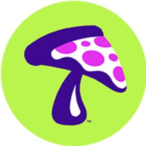 Mellow Mushroom Beaumont, TX