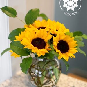 Carole Lilly Massage Sylva, NC