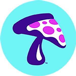 Mellow Mushroom Augusta, GA