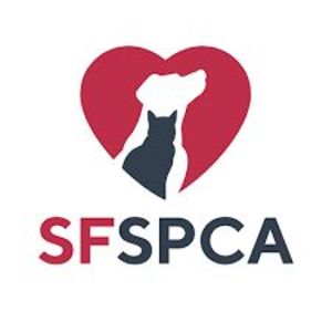 San Francisco SPCA (Non-profit), CA