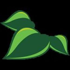 Nature’s Cradle Nursery & Landscape Design Eastchester, NY